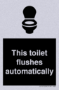 this-toilet-flushes-automatically~